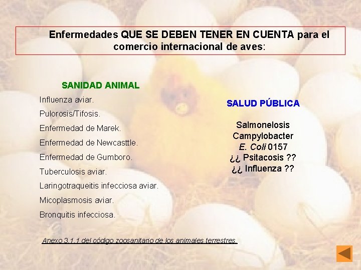 1. Plan de trabajo Enfermedades QUE SE DEBEN TENER EN CUENTA para el comercio