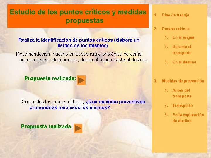 Estudio de los puntos críticos y medidas propuestas 1. Plan de trabajo 2. Puntos