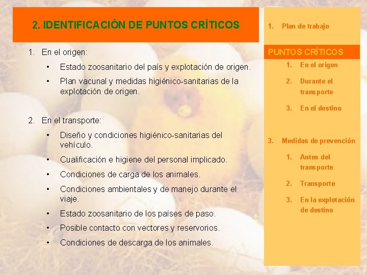 2. IDENTIFICACIÓN DE PUNTOS CRÍTICOS 1. En el origen: 1. Plan de trabajo 2.