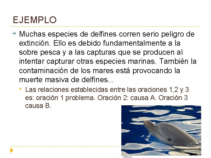 EJEMPLO Muchas especies de delfines corren serio peligro de extinción. Ello es debido fundamentalmente