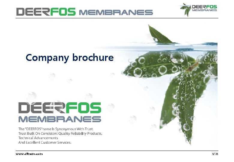 ver. DFM-DP-17. 2 Company brochure www. dfmem. com 1/31 