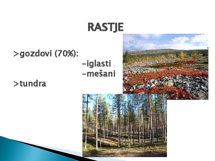 RASTJE >gozdovi (70%): >tundra -iglasti -mešani 