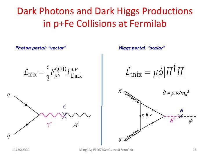 Dark Photons and Dark Higgs Productions in p+Fe Collisions at Fermilab Photon portal: “vector”