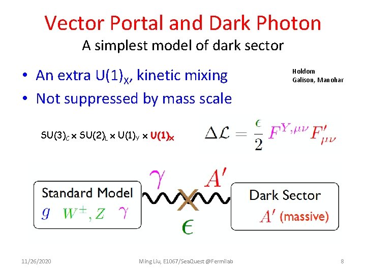 Vector Portal and Dark Photon A simplest model of dark sector • An extra