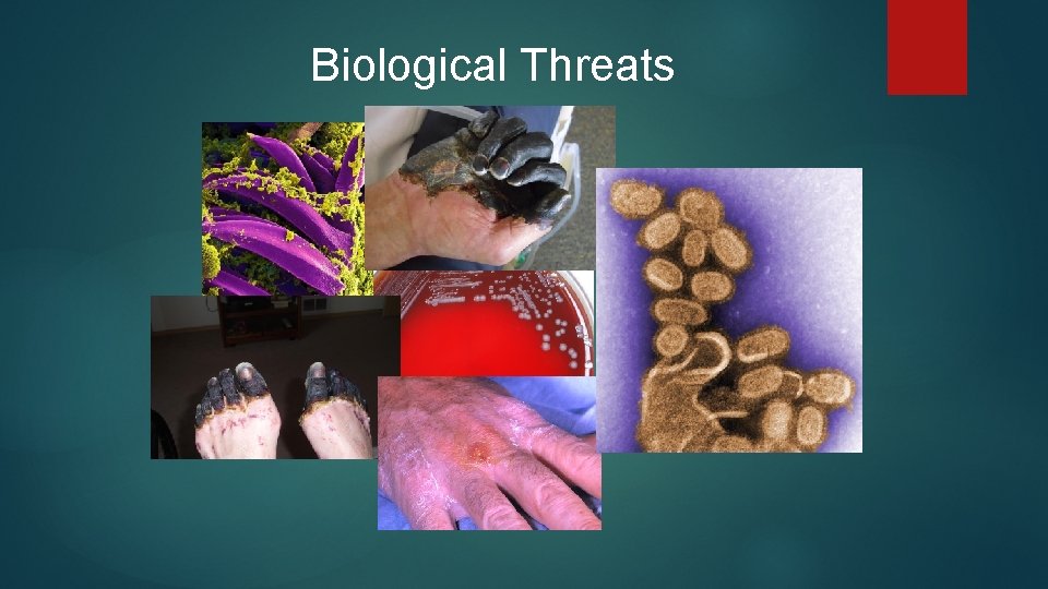 Biological Threats 