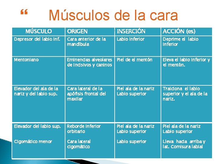  Músculos de la cara MÚSCULO ORIGEN INSERCIÓN ACCIÓN (es) Depresor del labio inf.