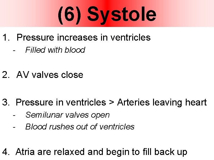 (6) Systole 1. Pressure increases in ventricles - Filled with blood 2. AV valves