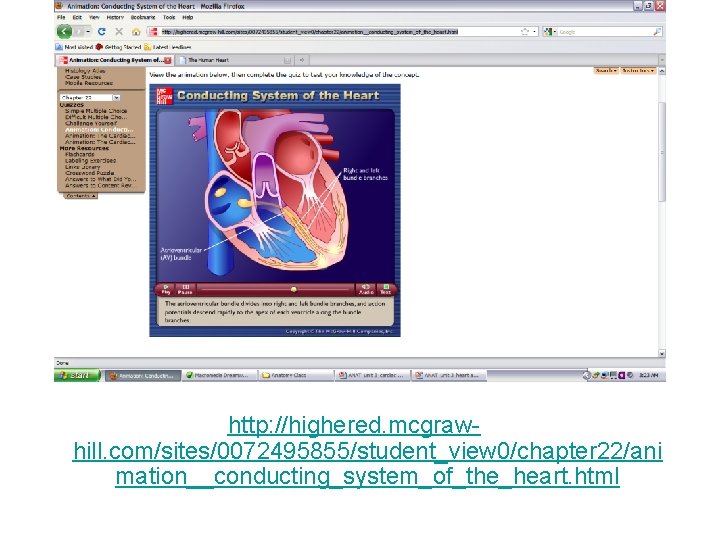 http: //highered. mcgrawhill. com/sites/0072495855/student_view 0/chapter 22/ani mation__conducting_system_of_the_heart. html 