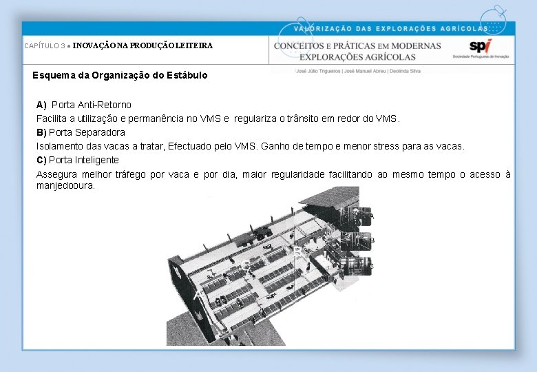 CAPÍTULO 3 ● INOVAÇÃO NA PRODUÇÃO LEITEIRA Esquema da Organização do Estábulo A) Porta