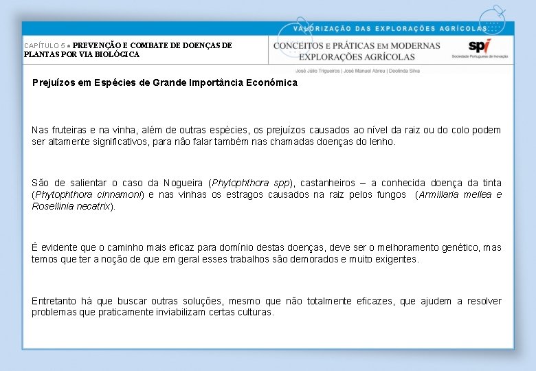 CAPÍTULO 5 ● PREVENÇÃO E COMBATE DE DOENÇAS DE PLANTAS POR VIA BIOLÓGICA Prejuízos