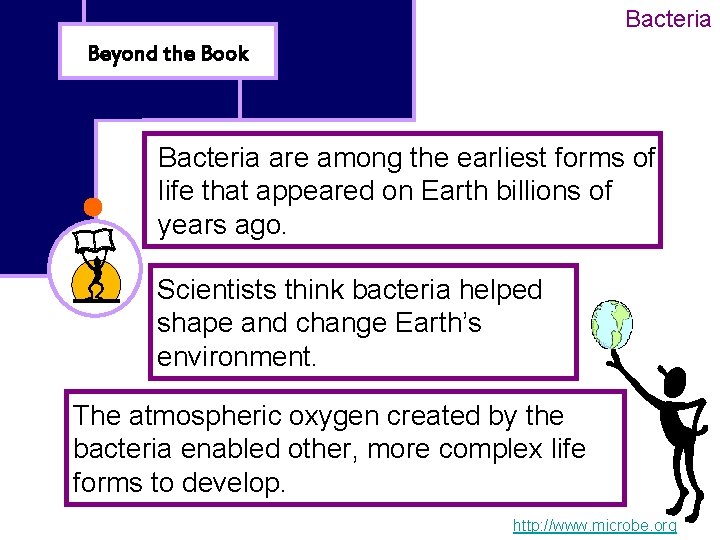 Bacteria Beyond the Book Bacteria are among the earliest forms of life that appeared