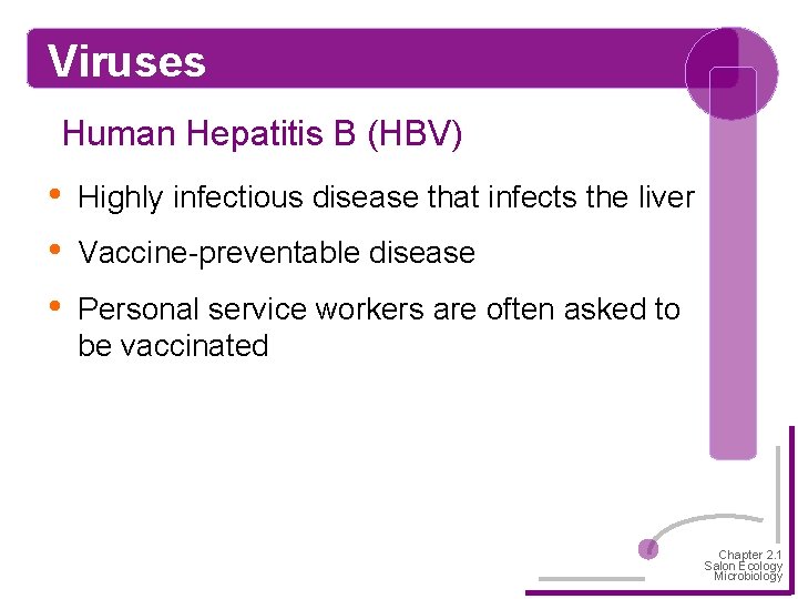 Viruses Human Hepatitis B (HBV) • • • Highly infectious disease that infects the