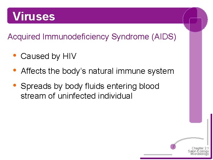 Viruses Acquired Immunodeficiency Syndrome (AIDS) • • • Caused by HIV Affects the body’s