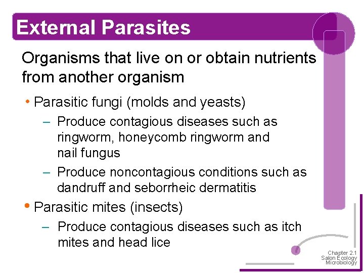 External Parasites Organisms that live on or obtain nutrients from another organism • Parasitic