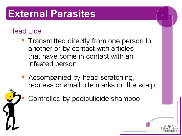 External Parasites Head Lice • Transmitted directly from one person to another or by
