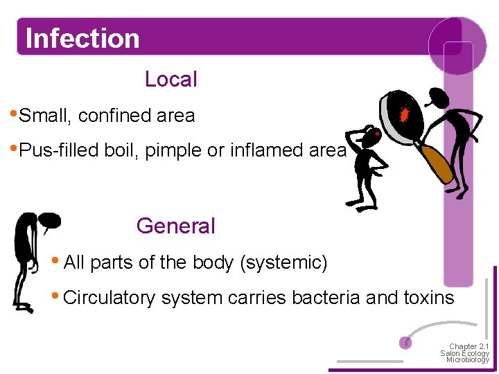 Infection Local • Small, confined area • Pus-filled boil, pimple or inflamed area General