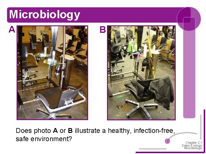 Microbiology A B Does photo A or B illustrate a healthy, infection-free, safe environment?