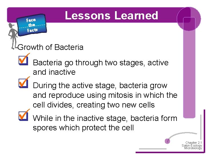 Face the Facts Lessons Learned Growth of Bacteria q Bacteria go through two stages,