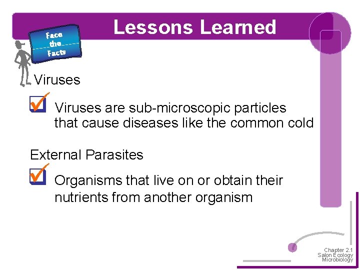 Face the Facts Lessons Learned Viruses q Viruses are sub-microscopic particles that cause diseases