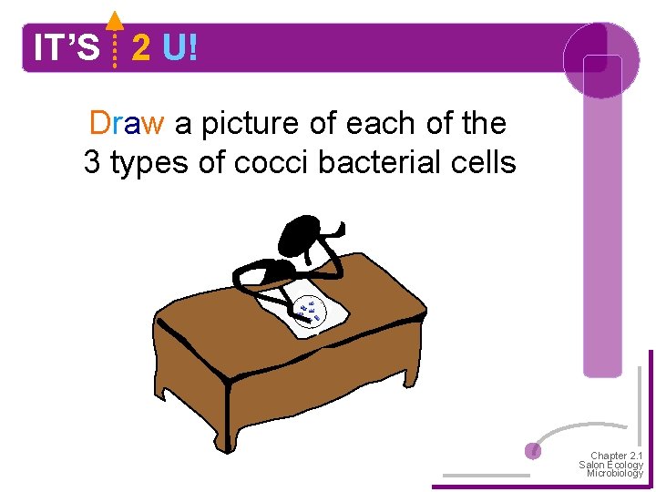 IT’S 2 U! Draw a picture of each of the 3 types of cocci