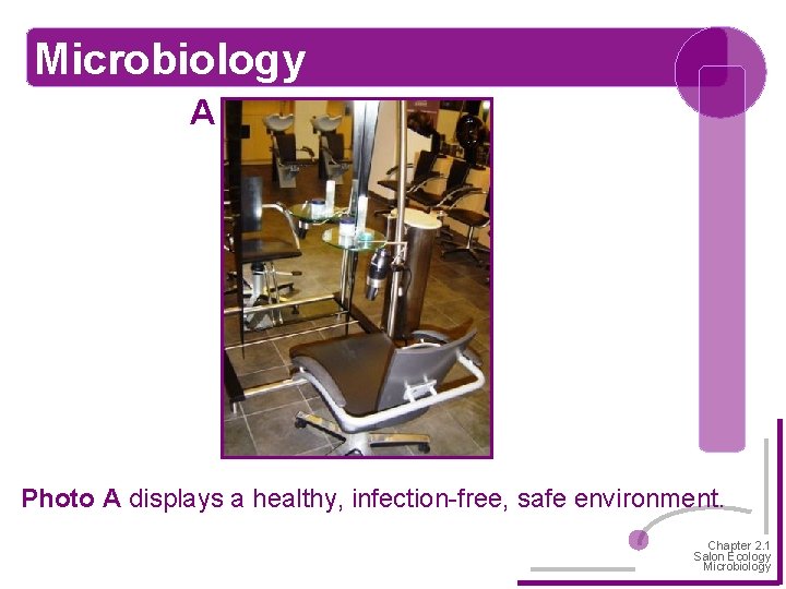 Microbiology A Photo A displays a healthy, infection-free, safe environment. Chapter 2. 1 Salon