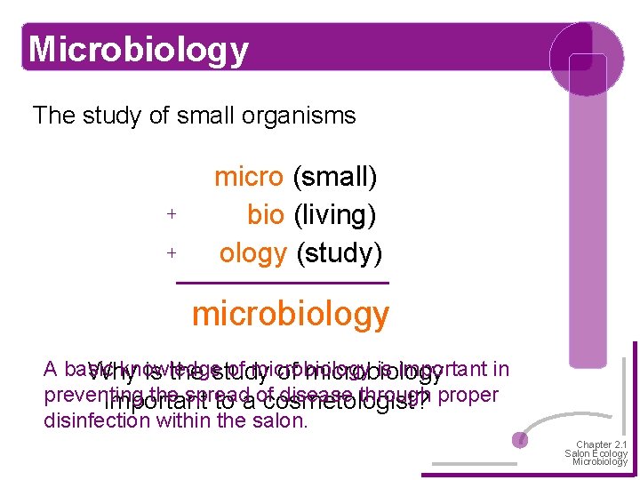 Microbiology The study of small organisms + + micro (small) bio (living) ology (study)