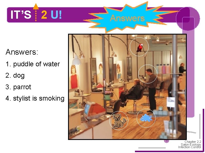 IT’S 2 U! Answers: 1. puddle of water 2. dog 3. parrot 4. stylist