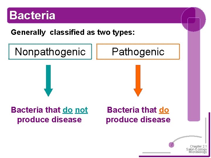 Bacteria Generally classified as two types: Nonpathogenic Pathogenic Bacteria that do not produce disease