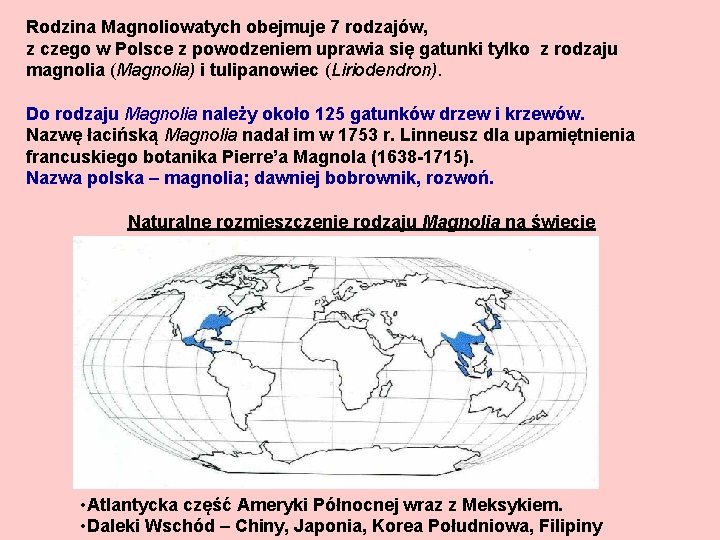 Rodzina Magnoliowatych obejmuje 7 rodzajów, z czego w Polsce z powodzeniem uprawia się gatunki