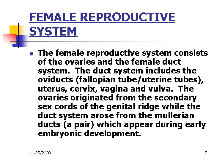 FEMALE REPRODUCTIVE SYSTEM n The female reproductive system consists of the ovaries and the