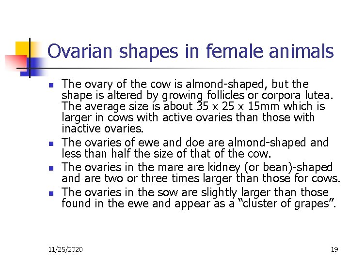 Ovarian shapes in female animals n n The ovary of the cow is almond-shaped,