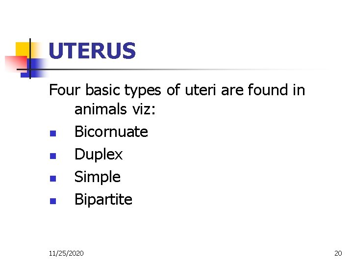UTERUS Four basic types of uteri are found in animals viz: n Bicornuate n