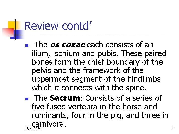 Review contd’ The os coxae each consists of an ilium, ischium and pubis. These