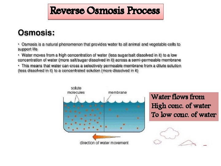 Reverse Osmosis Process Water flows from High conc. of water To low conc. of