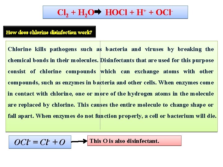 Cl 2 + H 2 O HOCl + H+ + OCl- How does chlorine