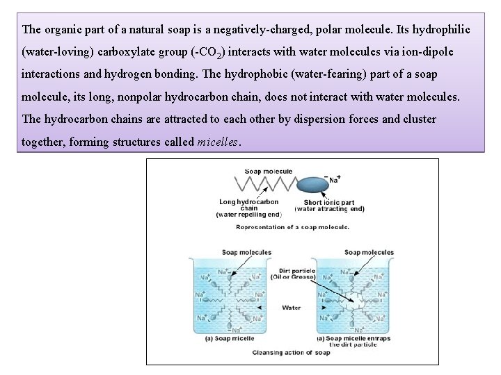 The organic part of a natural soap is a negatively-charged, polar molecule. Its hydrophilic