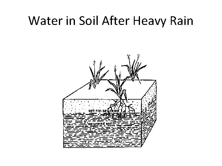 Water in Soil After Heavy Rain 