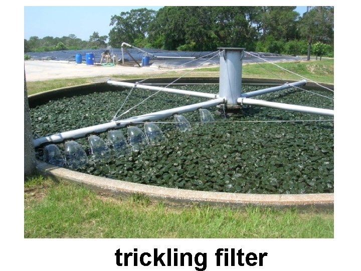 trickling filter 