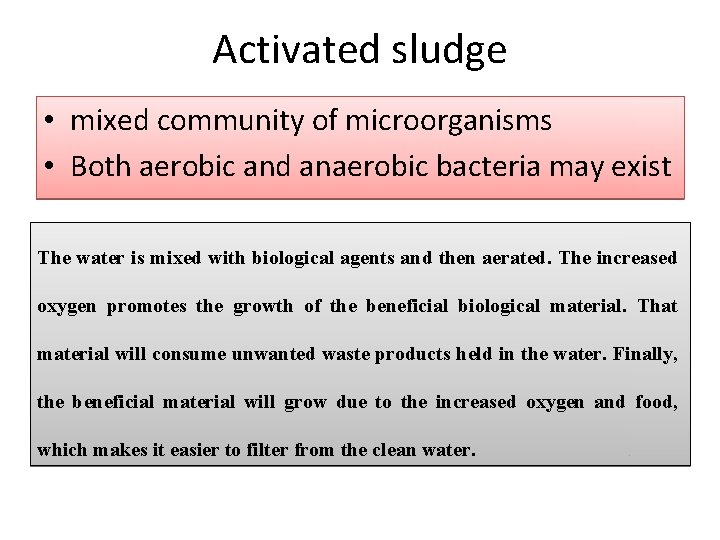 Activated sludge • mixed community of microorganisms • Both aerobic and anaerobic bacteria may