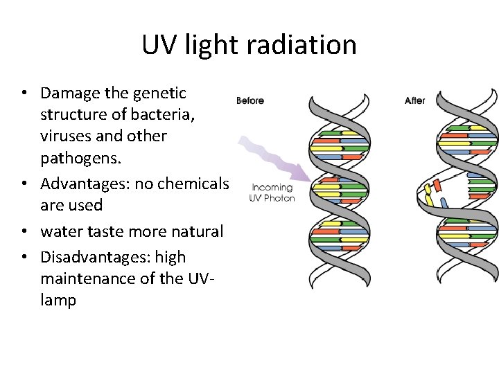 UV light radiation • Damage the genetic structure of bacteria, viruses and other pathogens.
