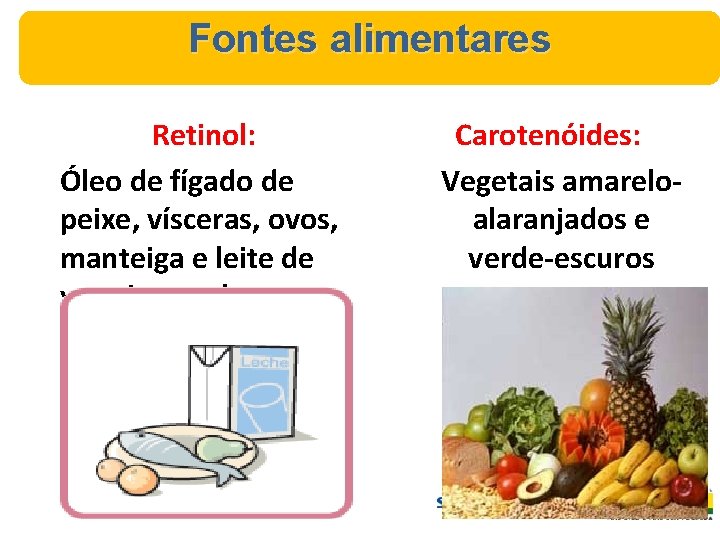 Fontes alimentares Retinol: Óleo de fígado de peixe, vísceras, ovos, manteiga e leite de