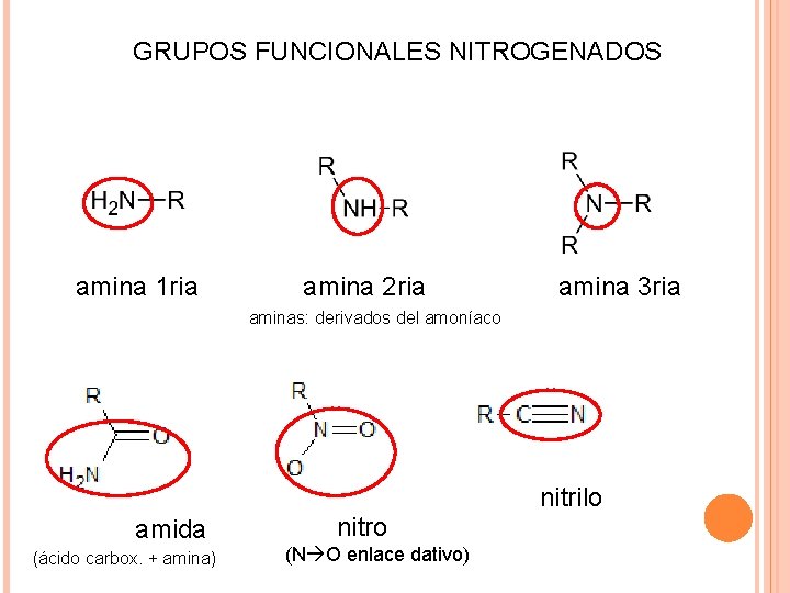 GRUPOS FUNCIONALES NITROGENADOS amina 1 ria amina 2 ria amina 3 ria aminas: derivados
