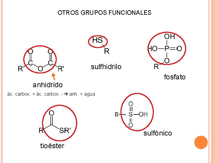 OTROS GRUPOS FUNCIONALES sulfhidrilo anhidrido fosfato ác. carbox. + ác. carbox. - anh. +