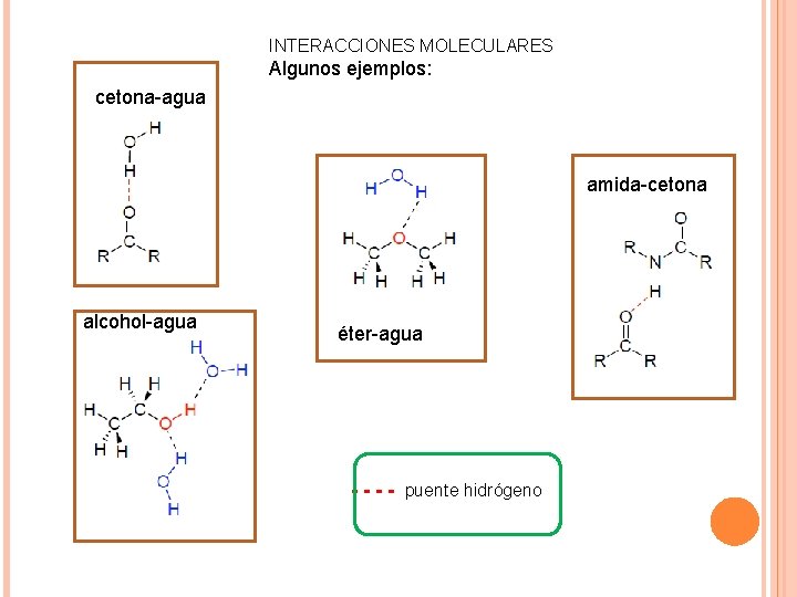 INTERACCIONES MOLECULARES Algunos ejemplos: cetona-agua amida-cetona alcohol-agua éter-agua - - puente hidrógeno 