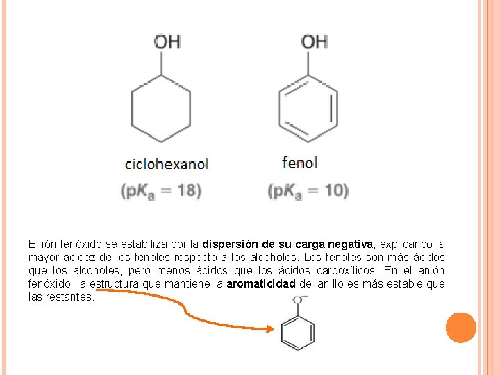 El ión fenóxido se estabiliza por la dispersión de su carga negativa, explicando la