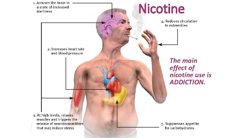 Nicotine The main effect of nicotine use is ADDICTION. 