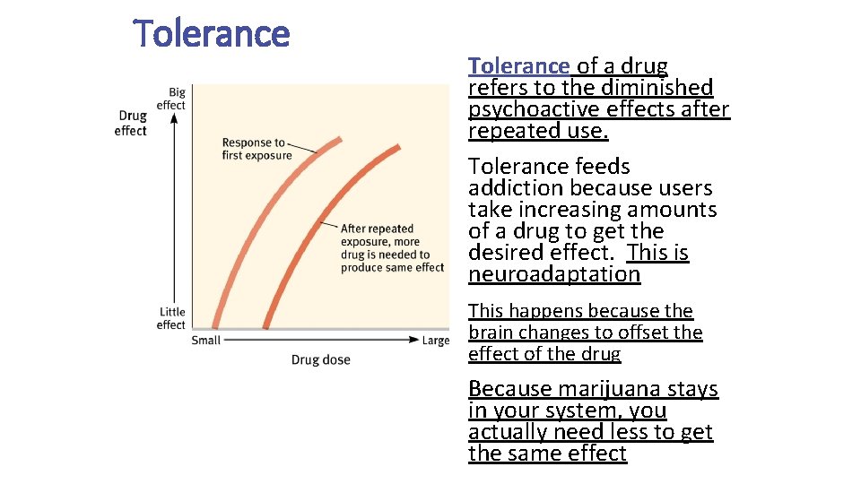 Tolerance of a drug refers to the diminished psychoactive effects after repeated use. Tolerance