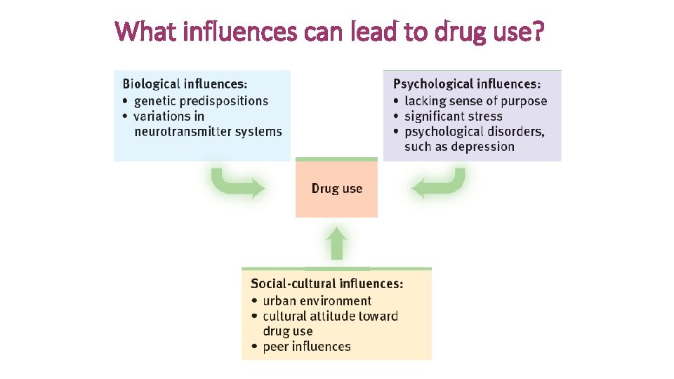 What influences can lead to drug use? 