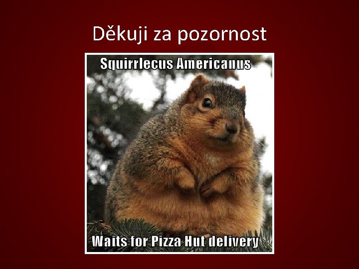 Děkuji za pozornost 