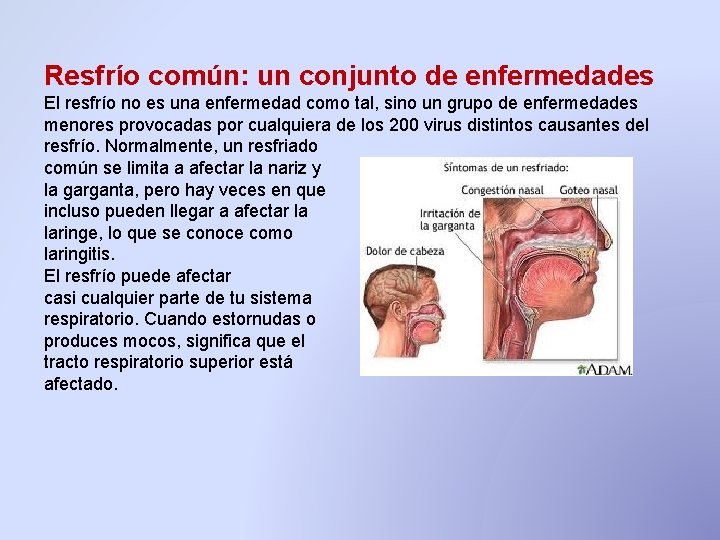 Resfrío común: un conjunto de enfermedades El resfrío no es una enfermedad como tal, Resfrío común: un conjunto de enfermedades El resfrío no es una enfermedad como tal,